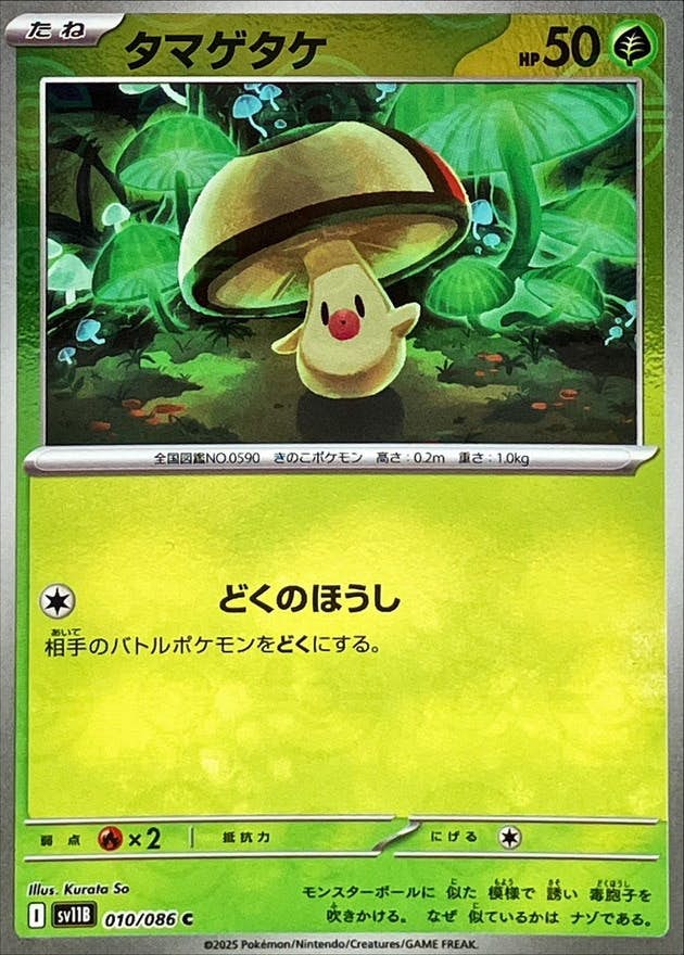 【状態A】タマゲダケ(モンスターボールミラー) C (010/086) [SV11B]の通販・買取（ポケモンカード）