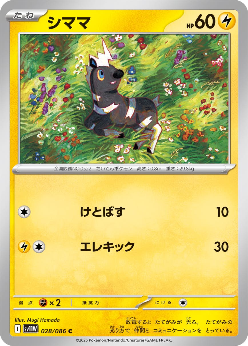【状態A】シママ C (028/086) [SV11W]の通販・買取（ポケモンカード）
