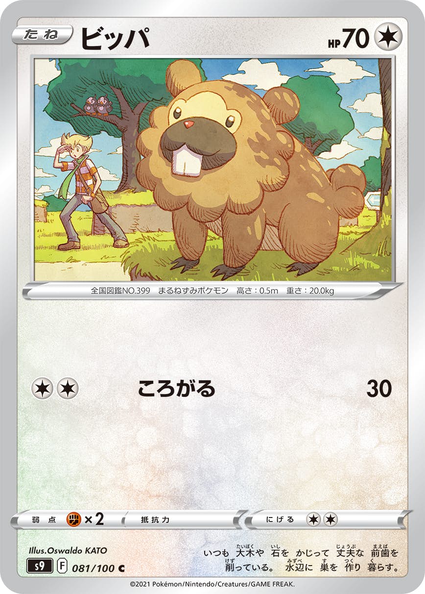 【状態A】ビッパ C (081/100) [S9]の通販・買取（ポケモンカード）