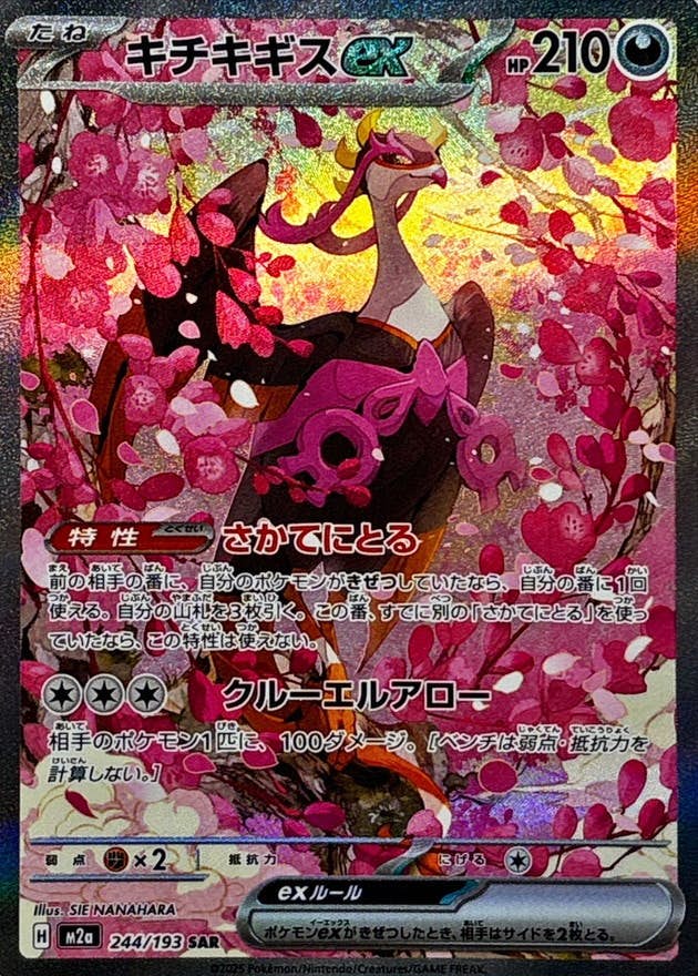 【状態A-】キチキギスex SAR (244/193) [M2a]の通販・買取（ポケモンカード）