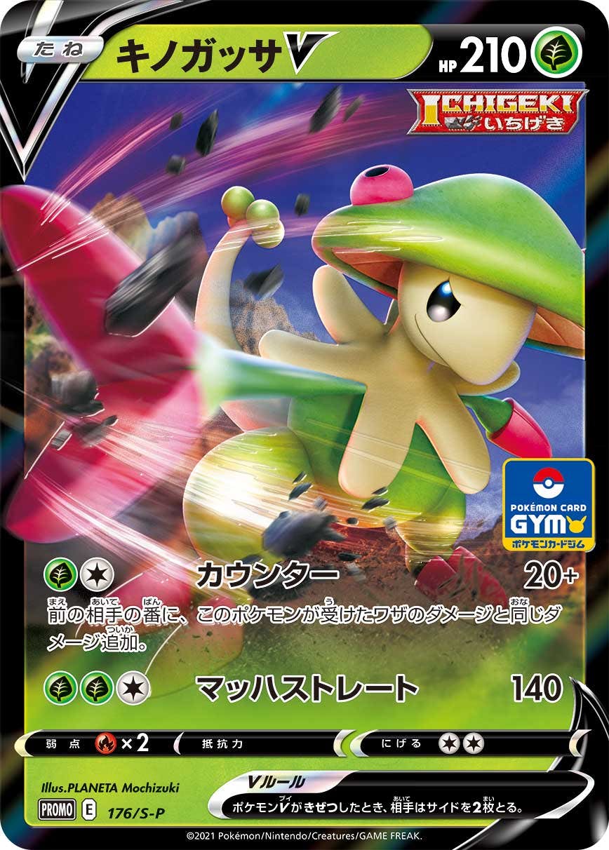 【状態B】キノガッサV PROMO (176/S-P) [s-p]の通販・買取（ポケモンカード）