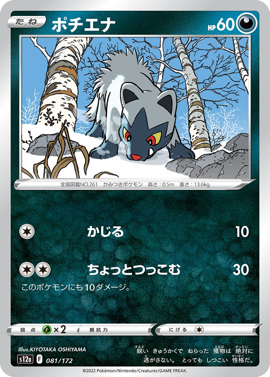 【状態A】ポチエナ(081/172) [S12A]の通販・買取（ポケモンカード）