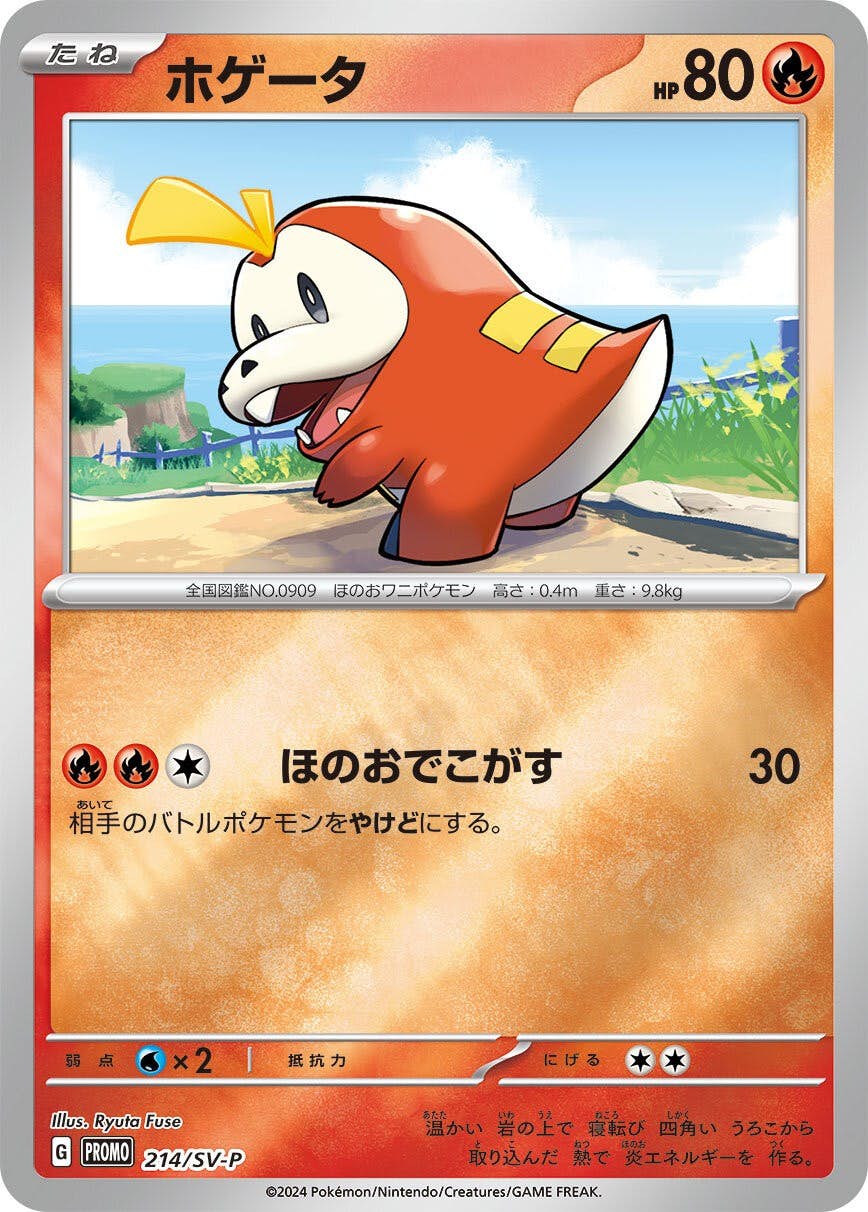 【状態A】ホゲータ P (214/SV-P) [PROMO]の通販・買取（ポケモンカード）