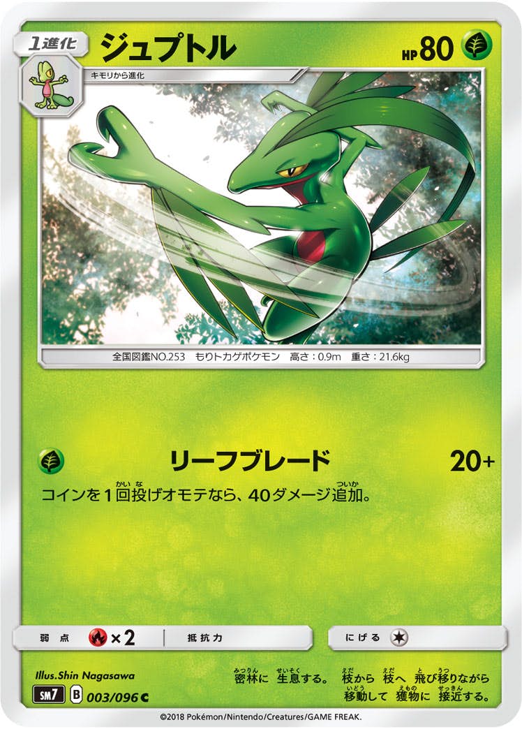 【状態B】ジュプトル C (003/096) [sm7]の通販・買取（ポケモンカード）