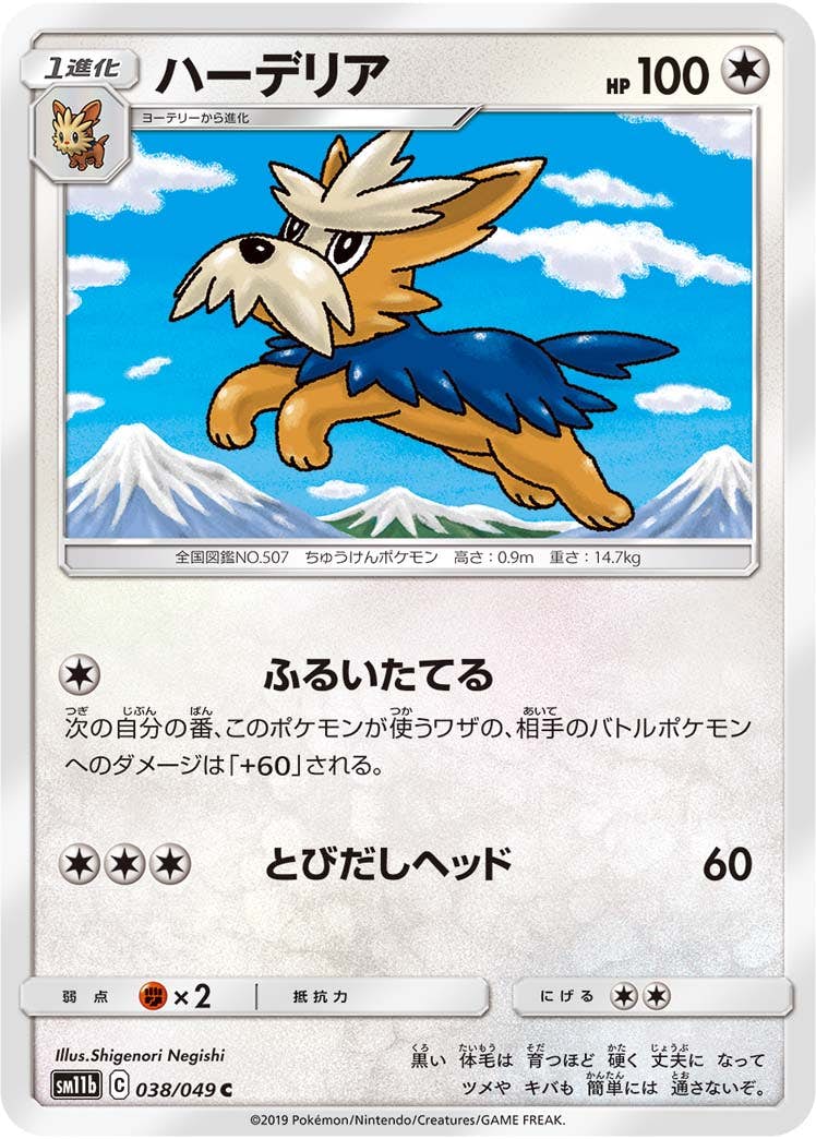 【状態B】ハーデリア C (038/049) [sm11b]の通販・買取（ポケモンカード）