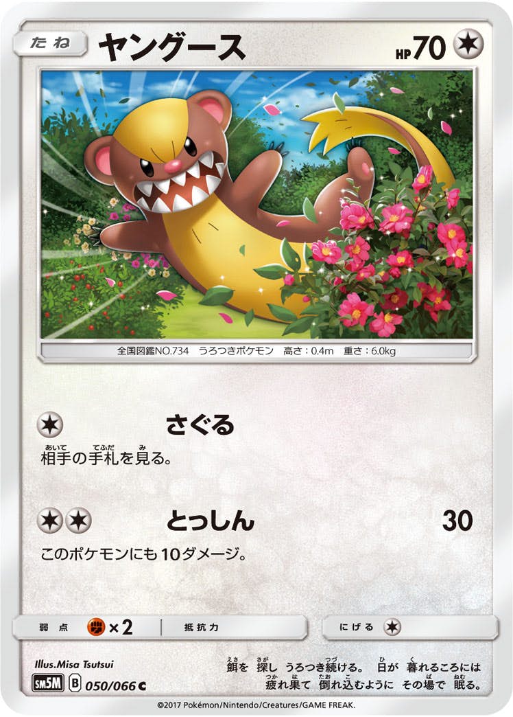 【状態B】ヤングース C (050/066) [sm5m]の通販・買取（ポケモンカード）