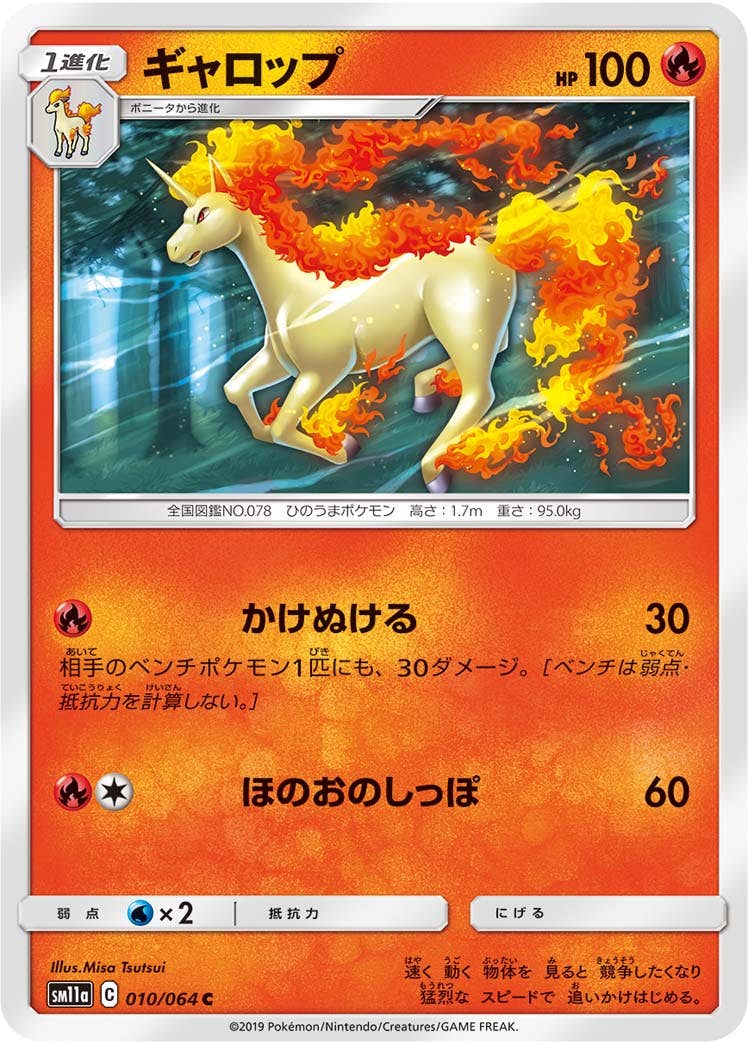【状態B】ギャロップ C (010/064) [sm11a]の通販・買取（ポケモンカード）