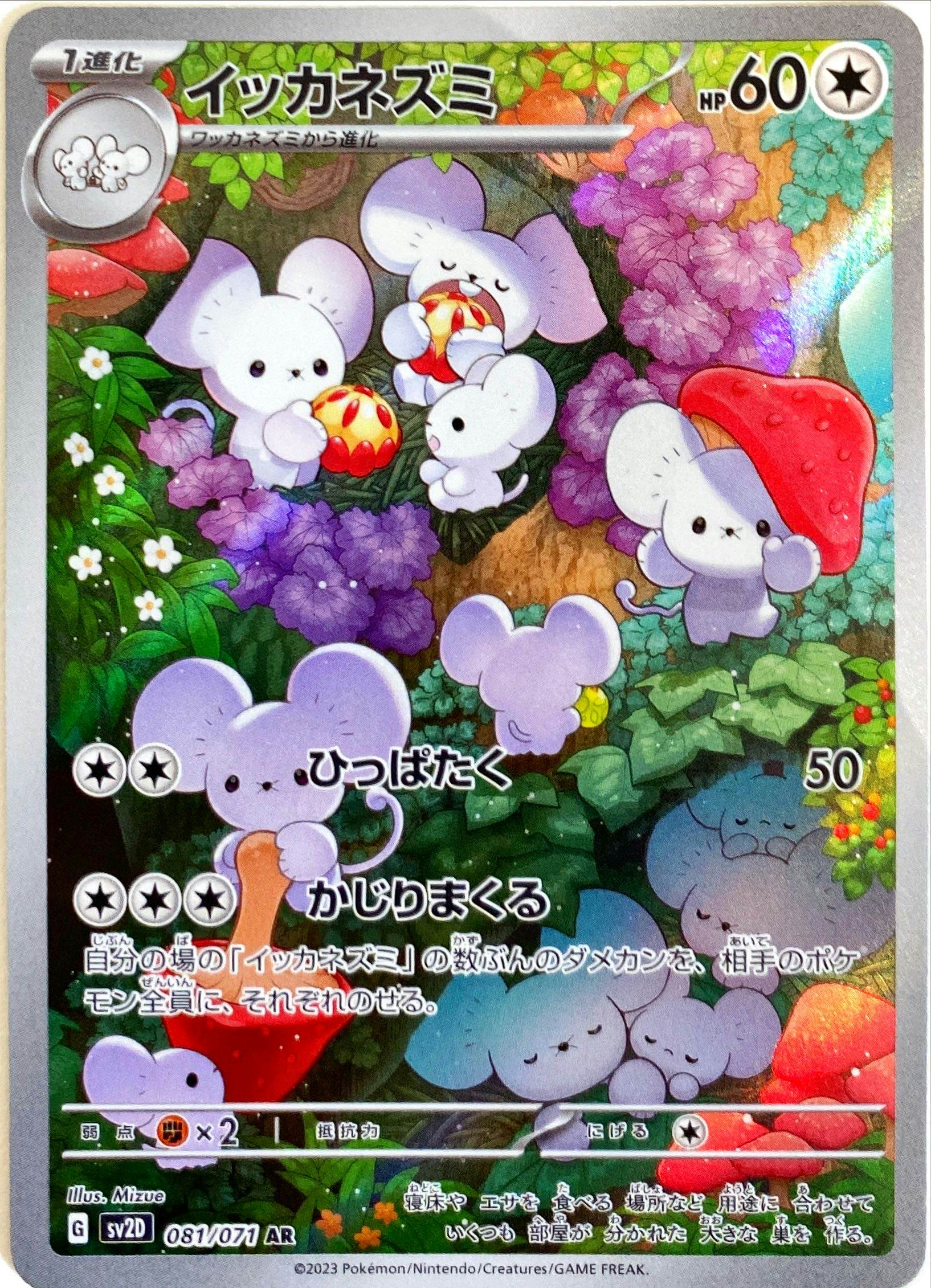イッカネズミ AR (081/071) [sv2D]の通販・買取（ポケモンカード）