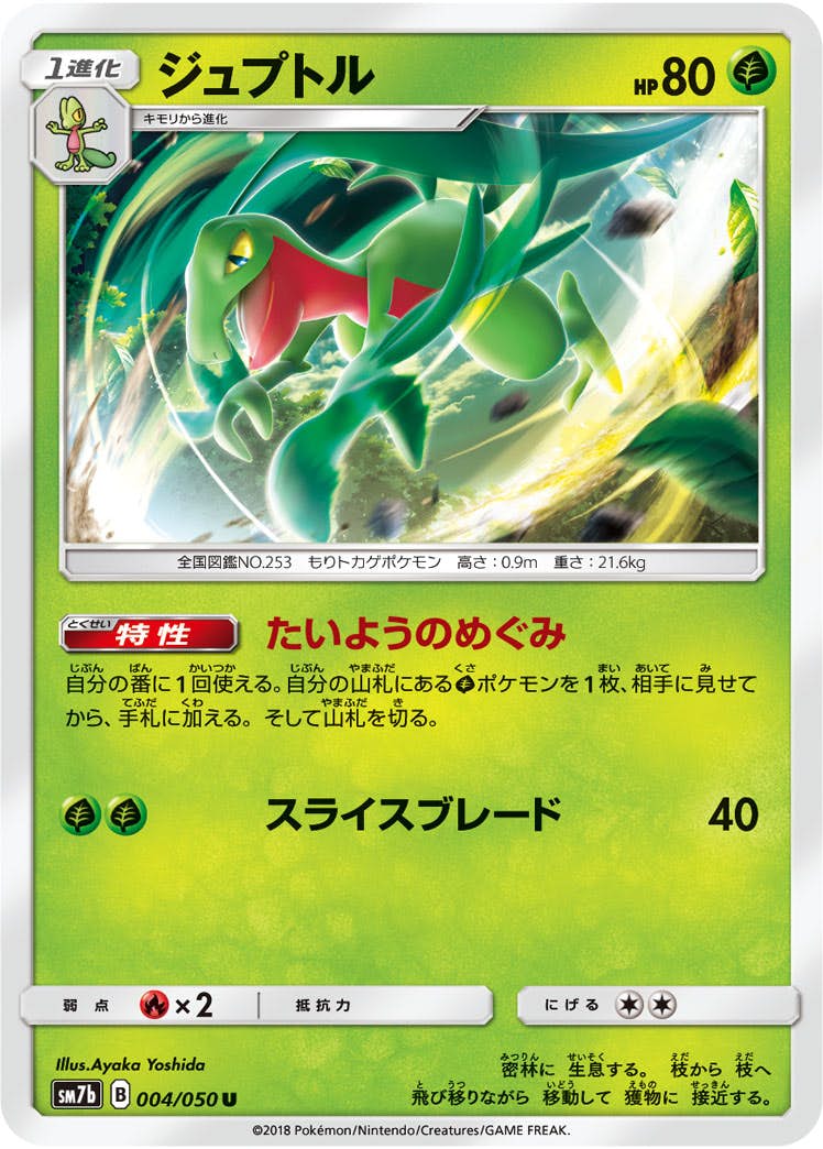 【状態B】ジュプトル U (004/050) [sm7b]の通販・買取（ポケモンカード）