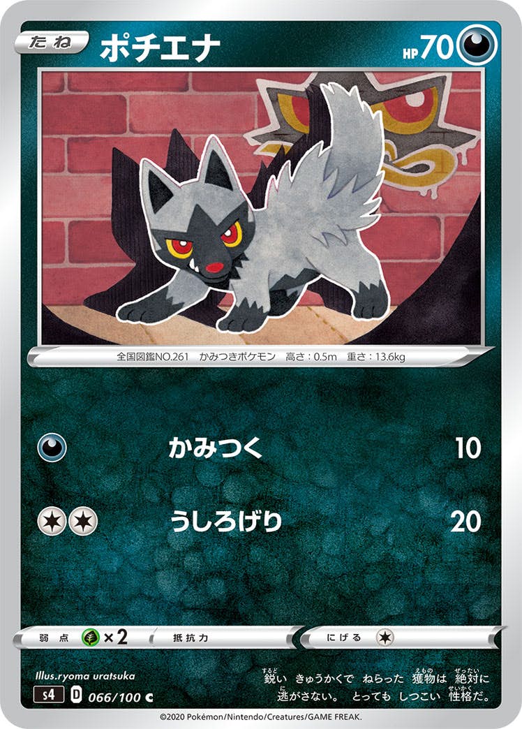 【状態B】ポチエナ C (066/100) [s4]の通販・買取（ポケモンカード）