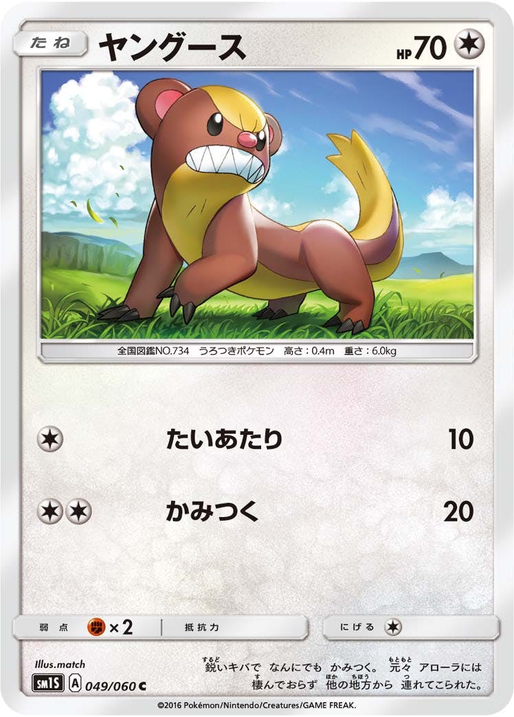 【状態B】ヤングース C (049/060) [sm1s]の通販・買取（ポケモンカード）