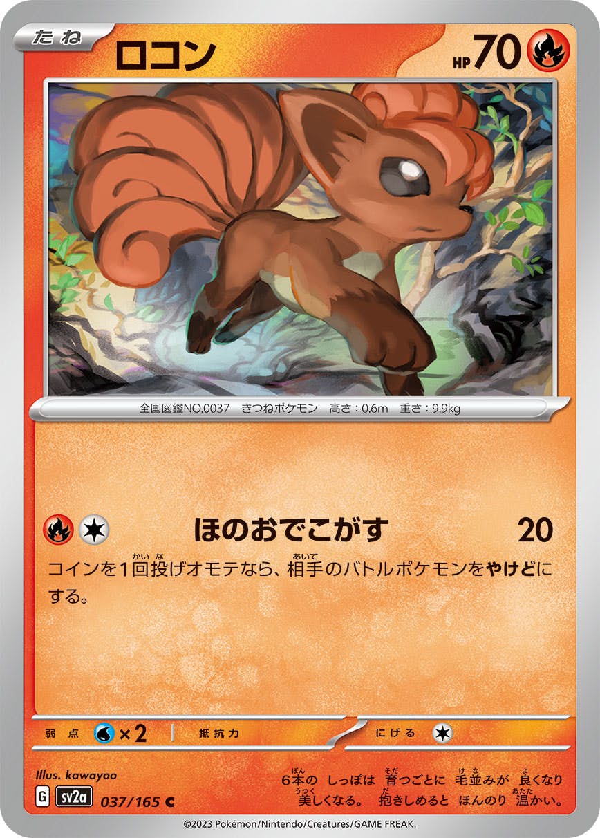 【状態A】ロコン C (037/165) [sv2a]の通販・買取（ポケモンカード）