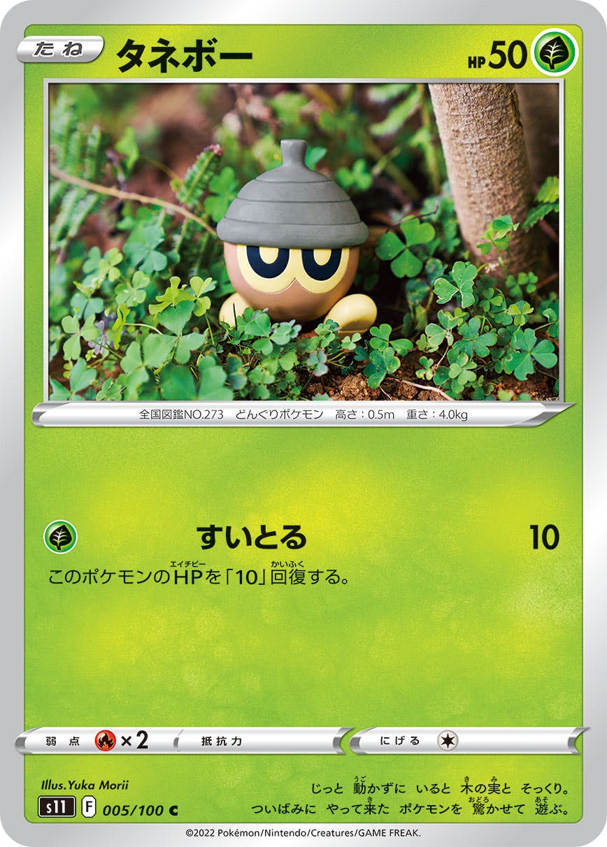 【状態B】タネボー C (005/100) [s11]の通販・買取（ポケモンカード）