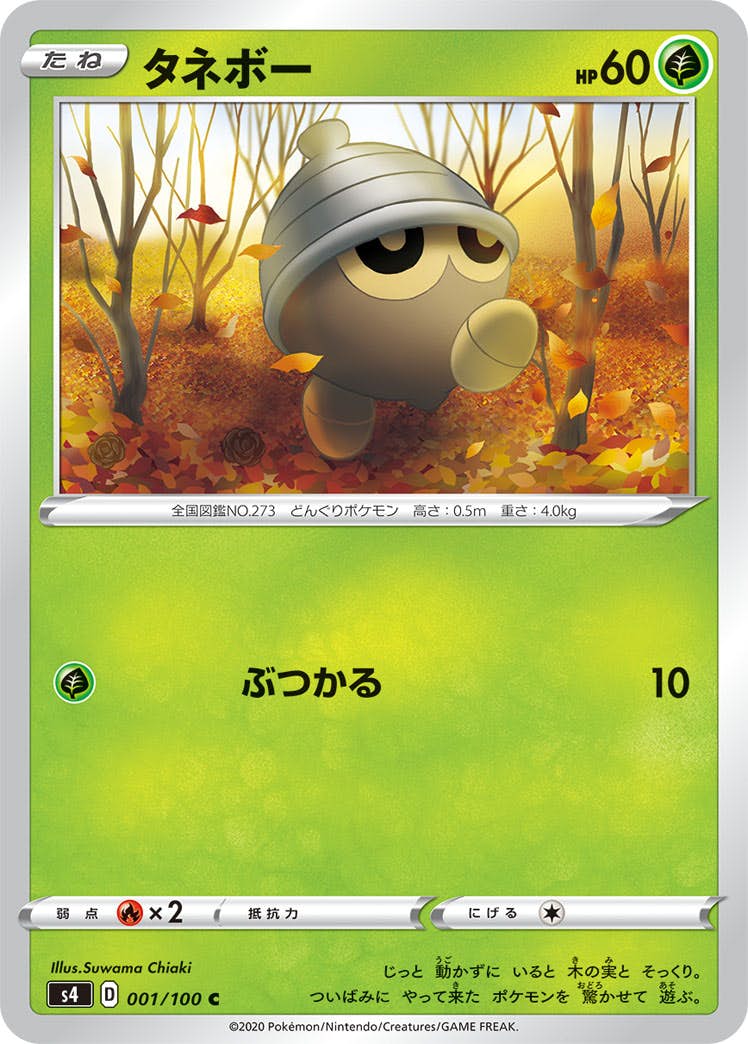 【状態B】タネボー C (001/100) [s4]の通販・買取（ポケモンカード）