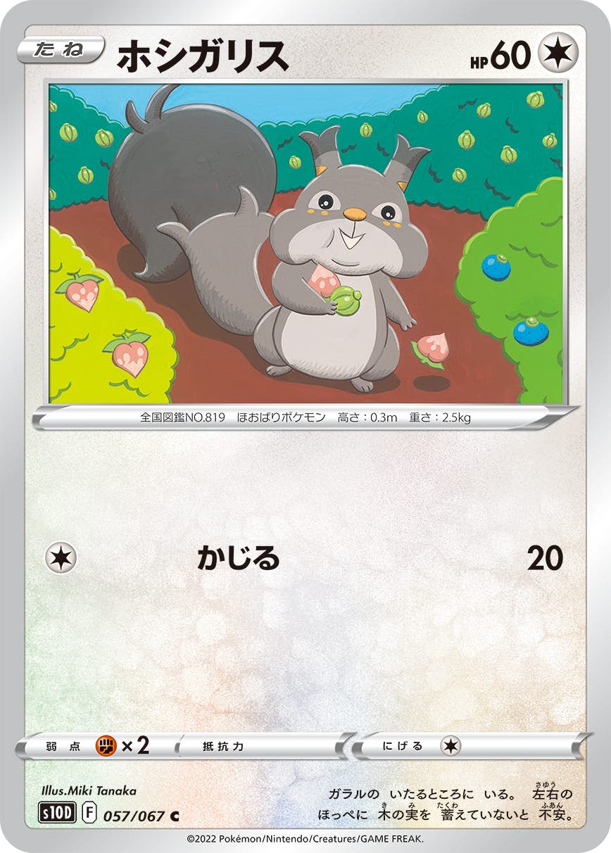 【状態A】ホシガリス C (057/067) [s10d]の通販・買取（ポケモンカード）