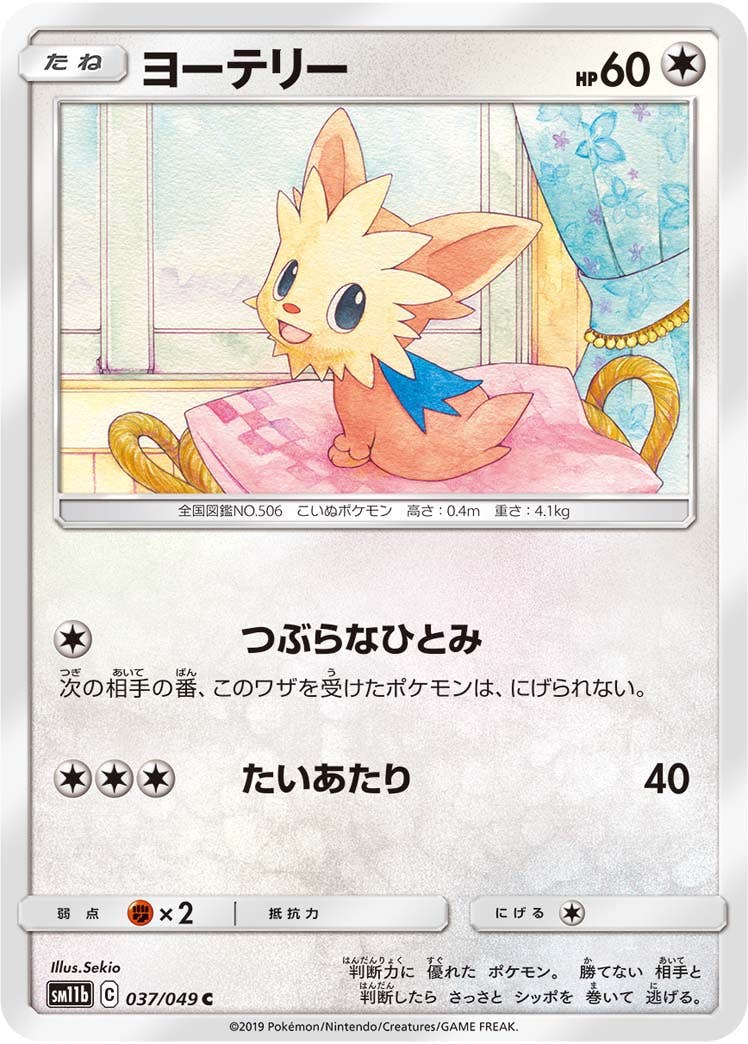 【状態B】ヨーテリー C (037/049) [sm11b]の通販・買取（ポケモンカード）