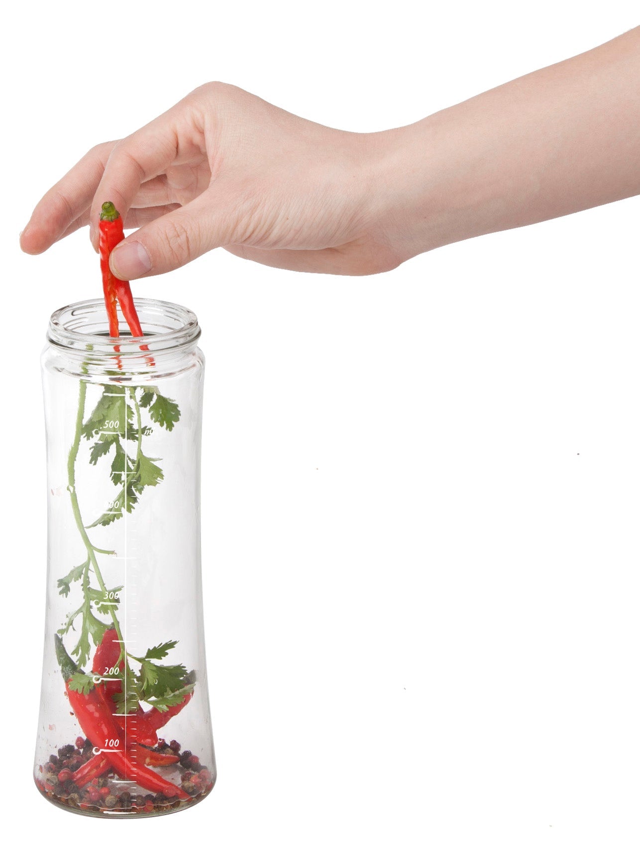 Cuisinox Herb Infusion Bottle