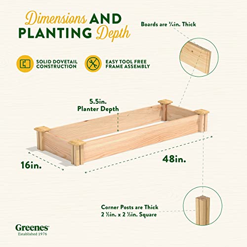 Greenes Fence Premium Cedar Raised Garden Bed, 16