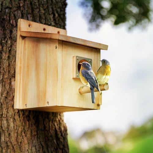 HPC Decor 8.6in Bird Houses for Outside, Natural Wooden Birdhouses for Outdoors with Predator Guard, Hanging Bird Box for Finch, Bluebird, Cardinals, Hummingbird,Easy to Clean
