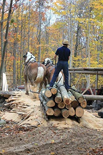 Woodchucks Wood Maple 3/4 Inch x 2 Inch x 16 Inch Solid Hardwood Lumber as Cutting Board Wood (6 Pack)