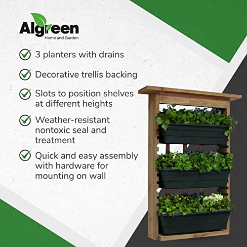 Algreen Gardenview Decorative Indoor or Outdoor Trellis with 3 Vertical Wall Hanging Planters with Drain Plugs for Flowers, Herbs, and Succulents