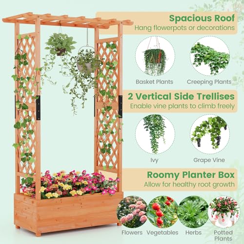 Giantex Raised Garden Bed with 2-Sided Trellis & Hanging Roof, Fir Wood Planter Box w/Drainage Holes, Bottom Gaps, Freestanding Garden Planter for Flowers Herbs Climbing Vines (43.5