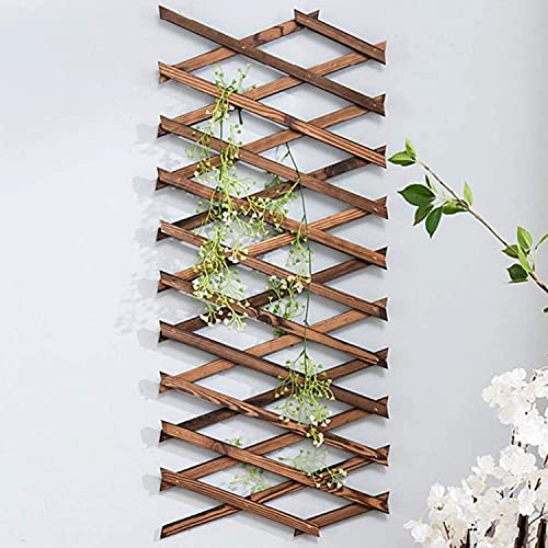 Iceyyyy Wood Lattice Wall Planter - Expandable Hanging Wooden Planter Trellis Frame, Indoor Air Plant Vertical Rack Wall Decor for Room Garden