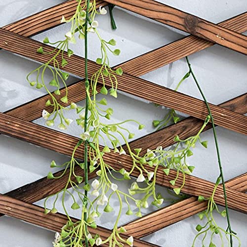 Iceyyyy Wood Lattice Wall Planter - Expandable Hanging Wooden Planter Trellis Frame, Indoor Air Plant Vertical Rack Wall Decor for Room Garden