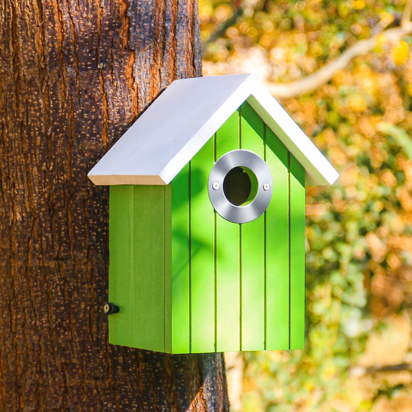 Cedar Bluebird House, Wooden Hanging Bird House for Outside, 1.5