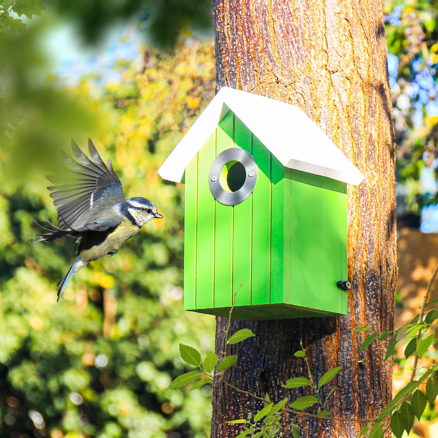 Cedar Bluebird House, Wooden Hanging Bird House for Outside, 1.5