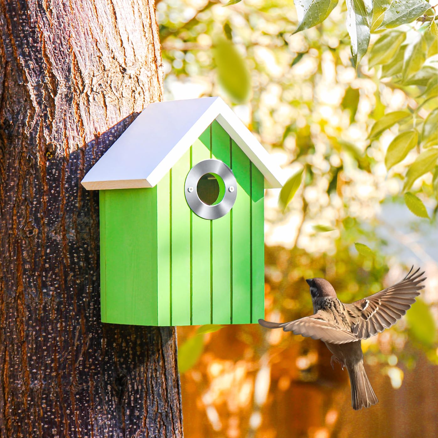 Cedar Bluebird House, Wooden Hanging Bird House for Outside, 1.5