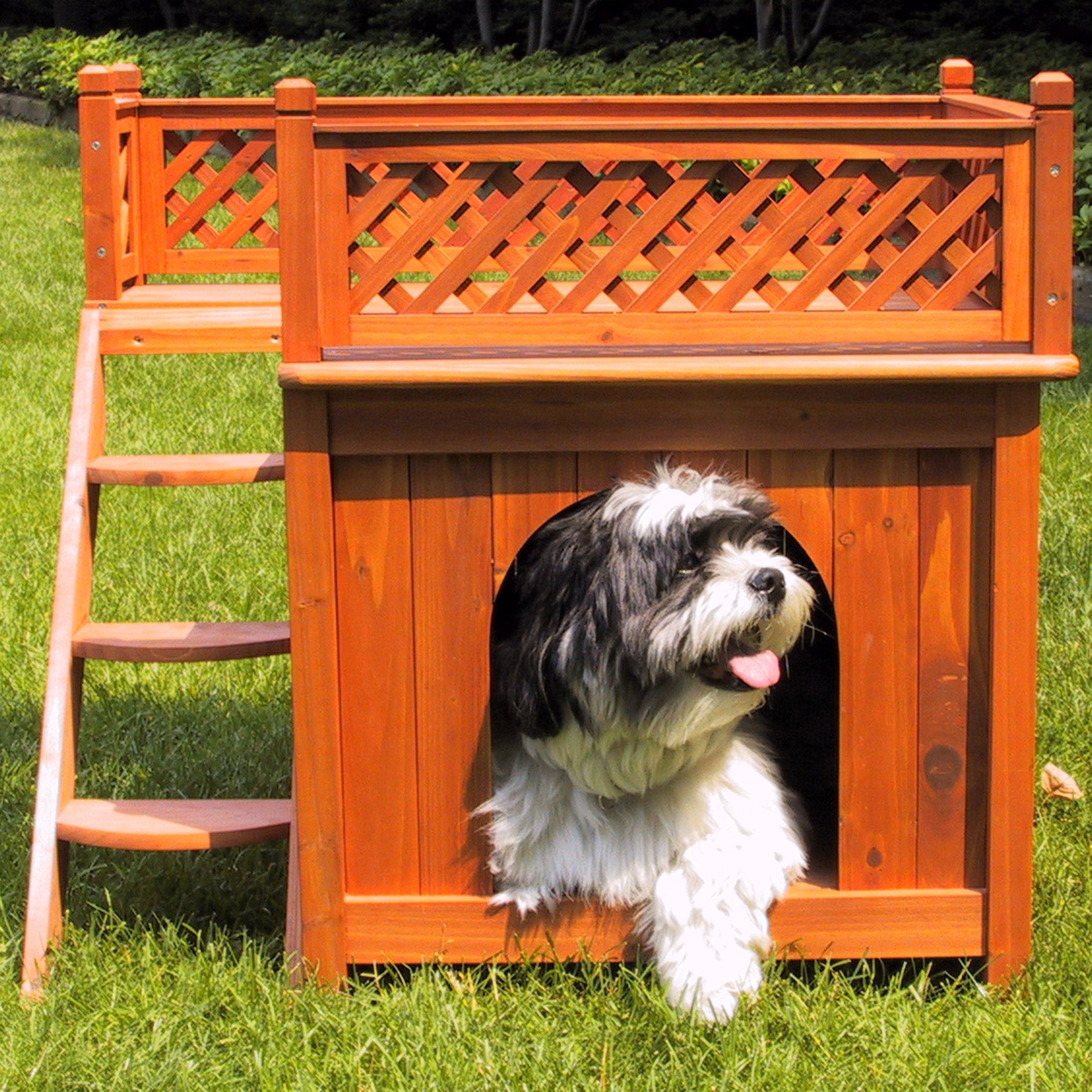 Merry Pet MPS002 Wood Room with a View Pet House