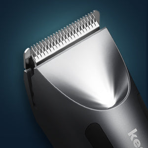 LED Light