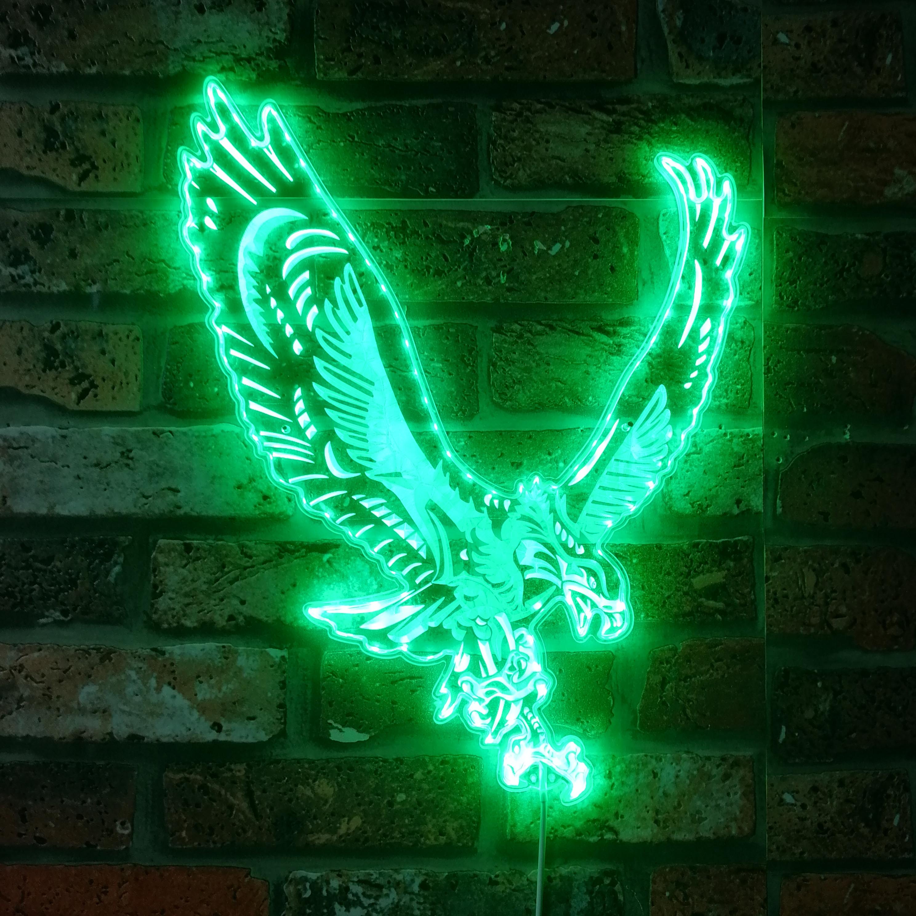 Eagles Dynamic RGB Edge Lit LED Sign