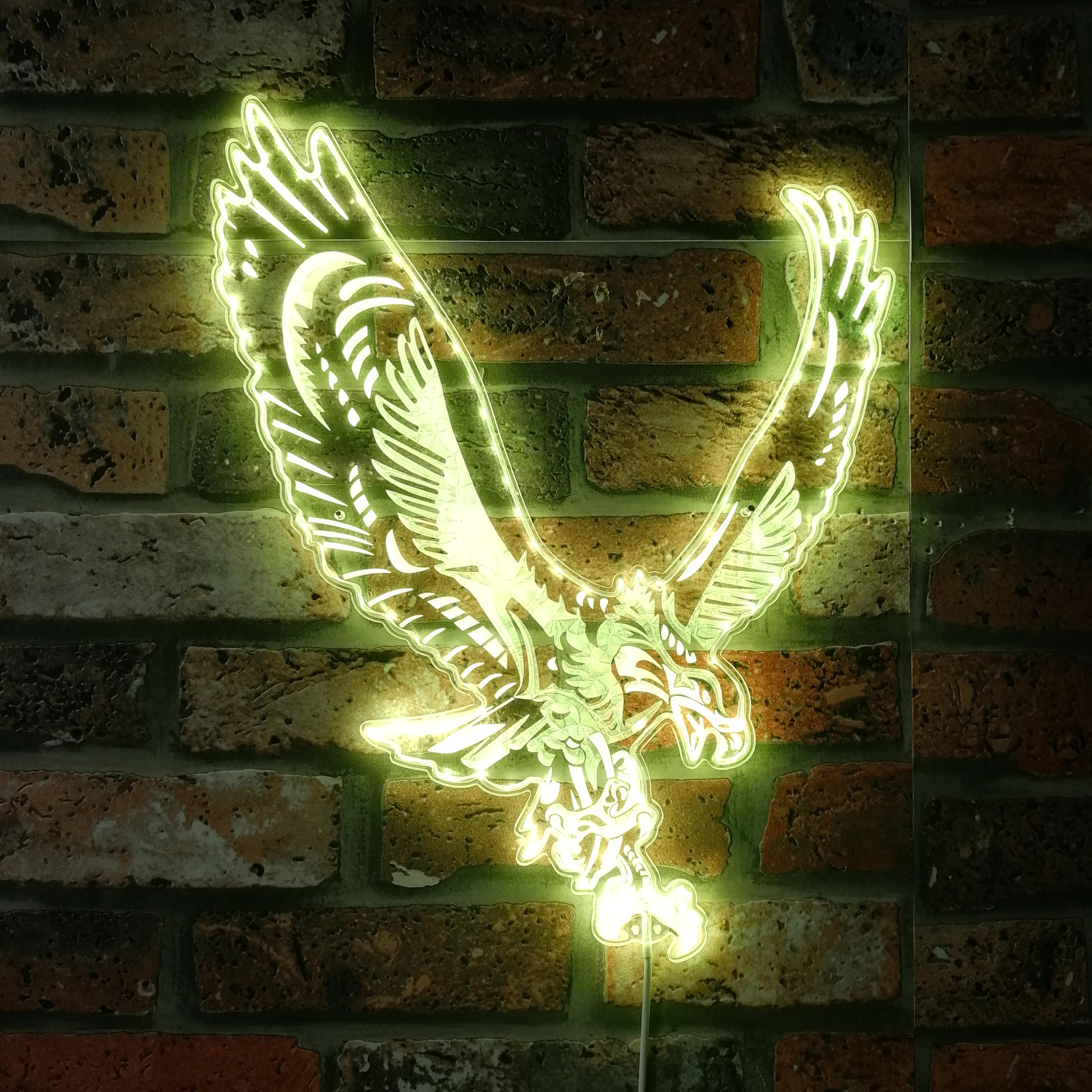 Eagles Dynamic RGB Edge Lit LED Sign