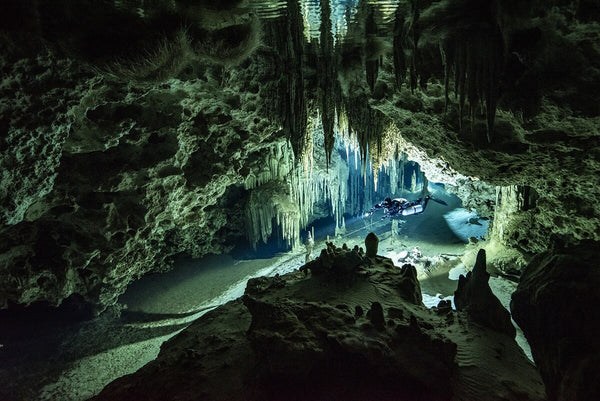 Swim Through Mexico's Natural Wells