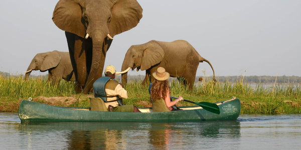 Canoeing in Botswana's Okavango Delta