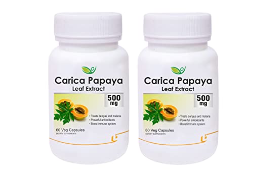 Biotrex Nutraceuticals Carica Papaya Leaf Extract Powerful Anti-oxidants (500 mg, 60 Capsules)- Pack of 2