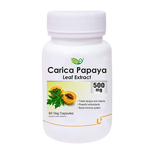 Biotrex Nutraceuticals Carica Papaya Leaf Extract Powerful Anti-oxidants (500 mg, 60 Capsules)- Pack of 2