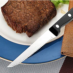 Cibeat 48 Piece Silverware Set with Steak Knives, Stainless Steel Flatware  Set, Cutlery Set for 8 Steak Knife/Fork/Spoon 