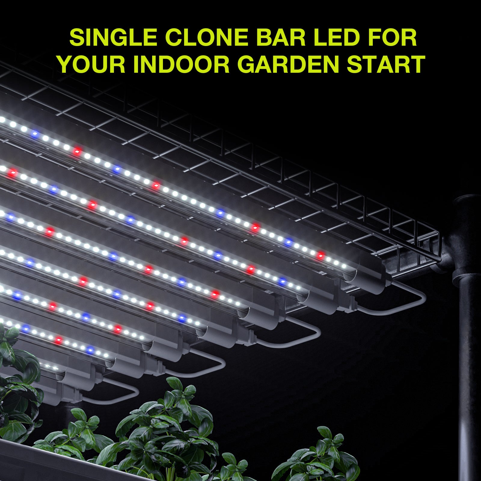 Platinum Horticulture Clone LED 18W Grow Light Fixture 9000K 120V 277V Propagation Seedling Light 2PACK