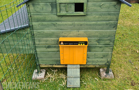 Invest in an automatic coop door