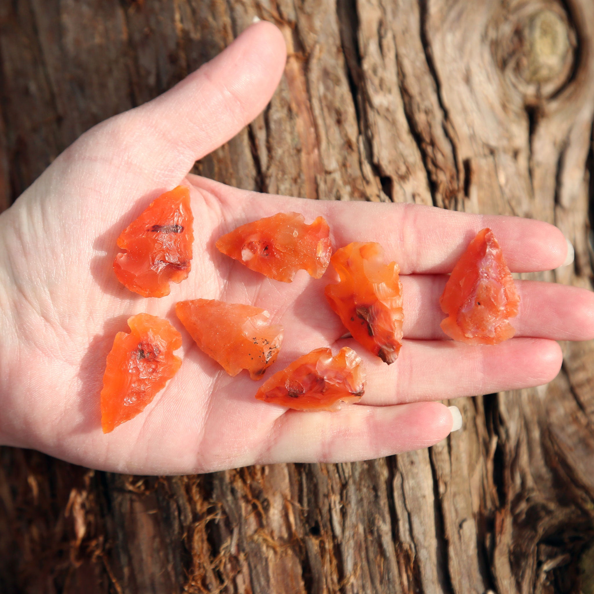 Small Carnelian Arrowheads