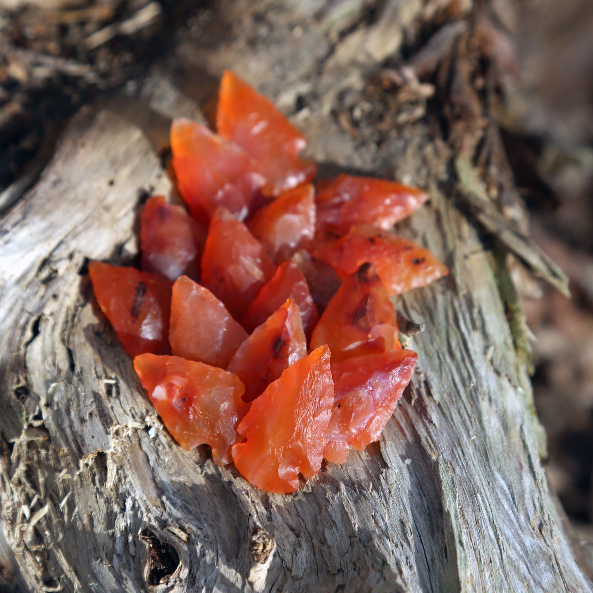 Small Carnelian Arrowheads