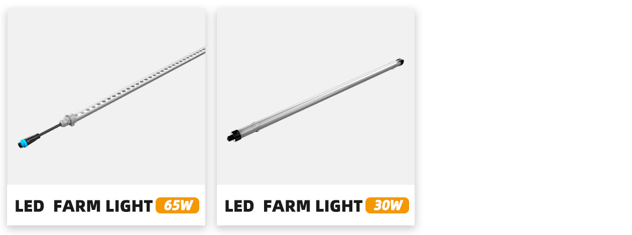 led poultry lights