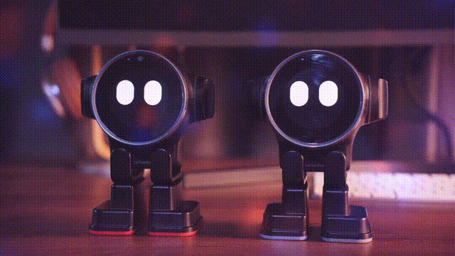 Rux_robot
