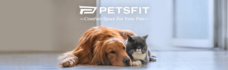 Petsfit-About-Us