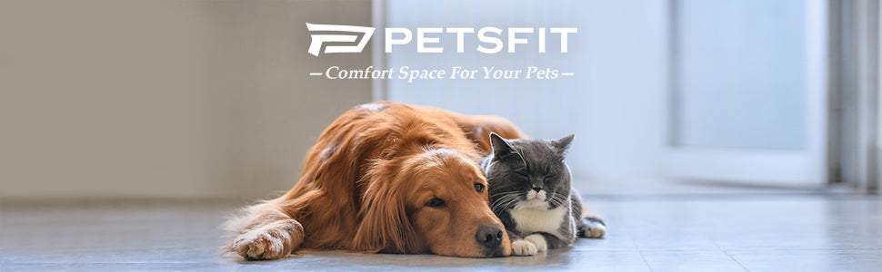 Petsfit-À propos de nous