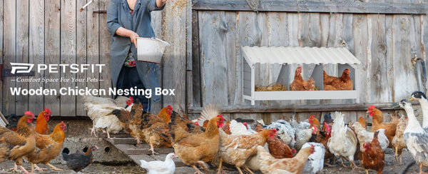 petsfit-wood-chicken-nesting-box