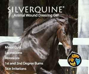 Silverquine Advanced Active Hydrogel Wound and Skin Care for Dogs Cats Horses Protects and Fast Healing from Cuts Hotspot Burns Scratches Skin Irritation Soothing Gel Vet Recommended